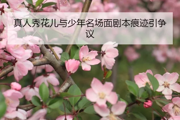 真人秀花儿与少年名场面剧本痕迹引争议